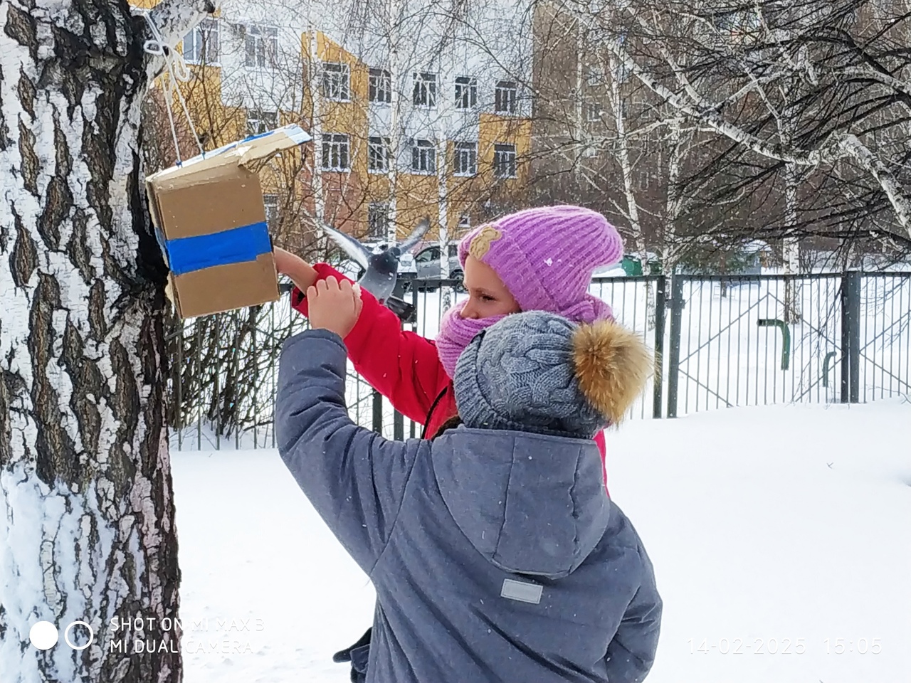 «Помоги пернатым».