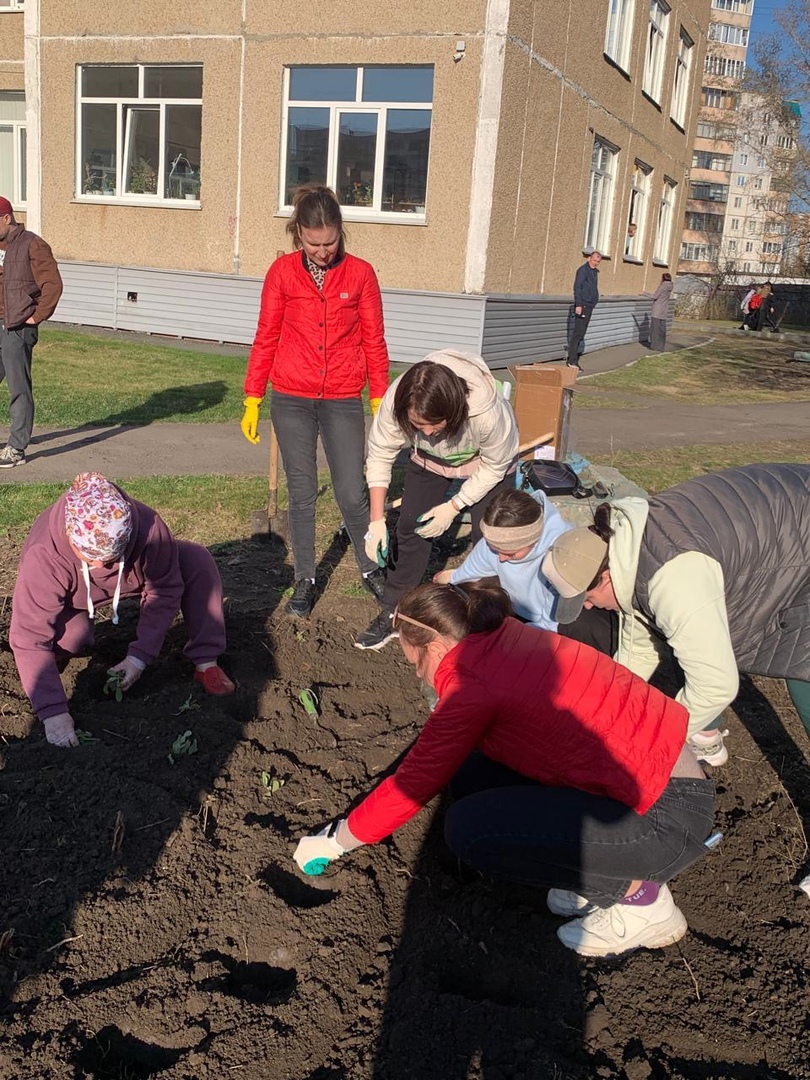 Клумба из красивых лилий.