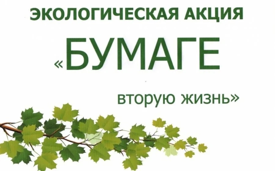Бумаге-вторую жизнь!.