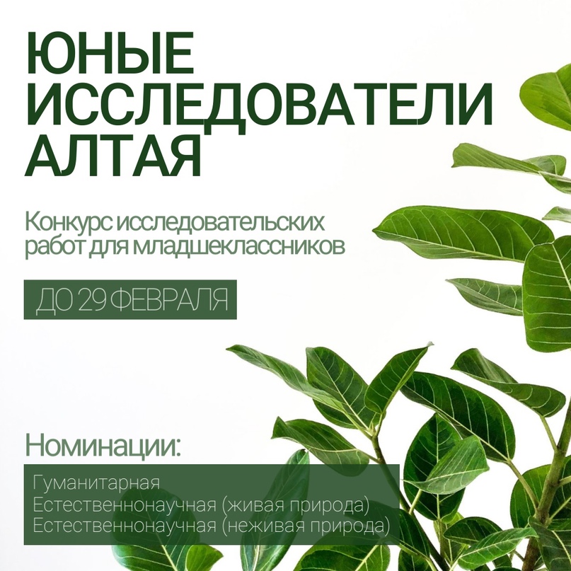 «Юные исследователи Алтая – 2024»..