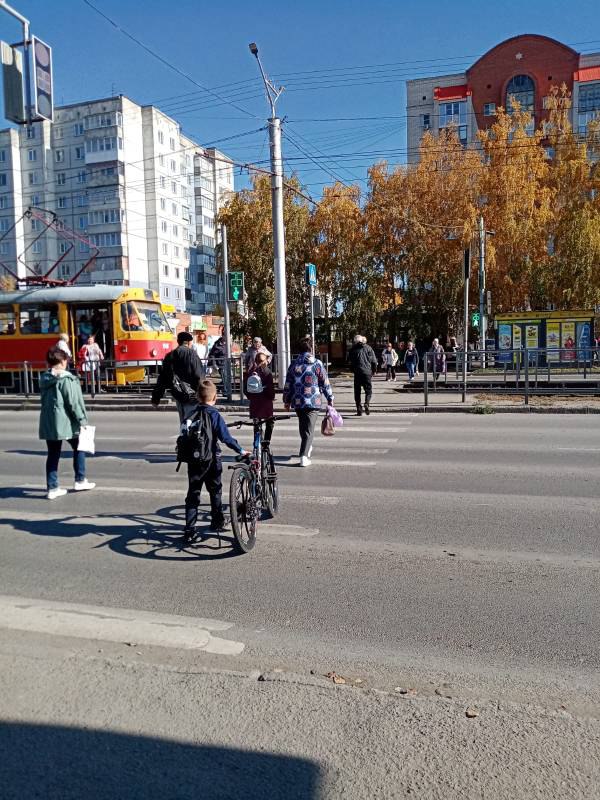 Родительский дорожной патруль.