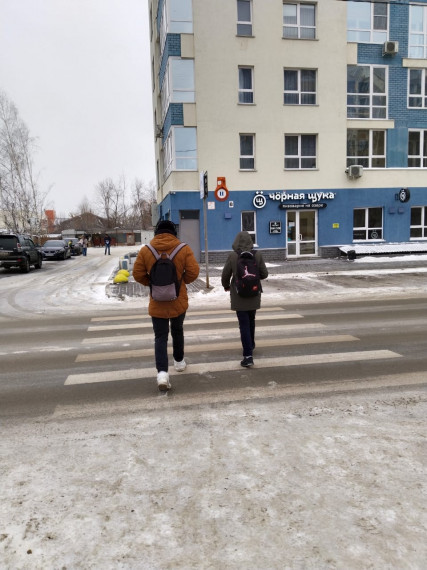 Родительский дорожный патруль.